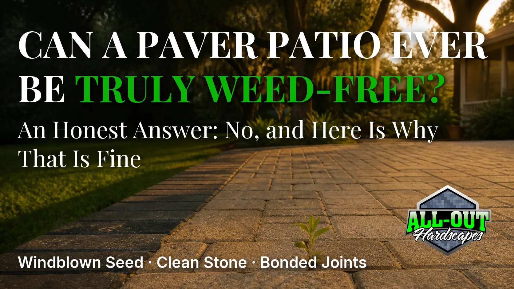 Can a Paver Patio Ever Be Truly Weed-Free An Honest Answer