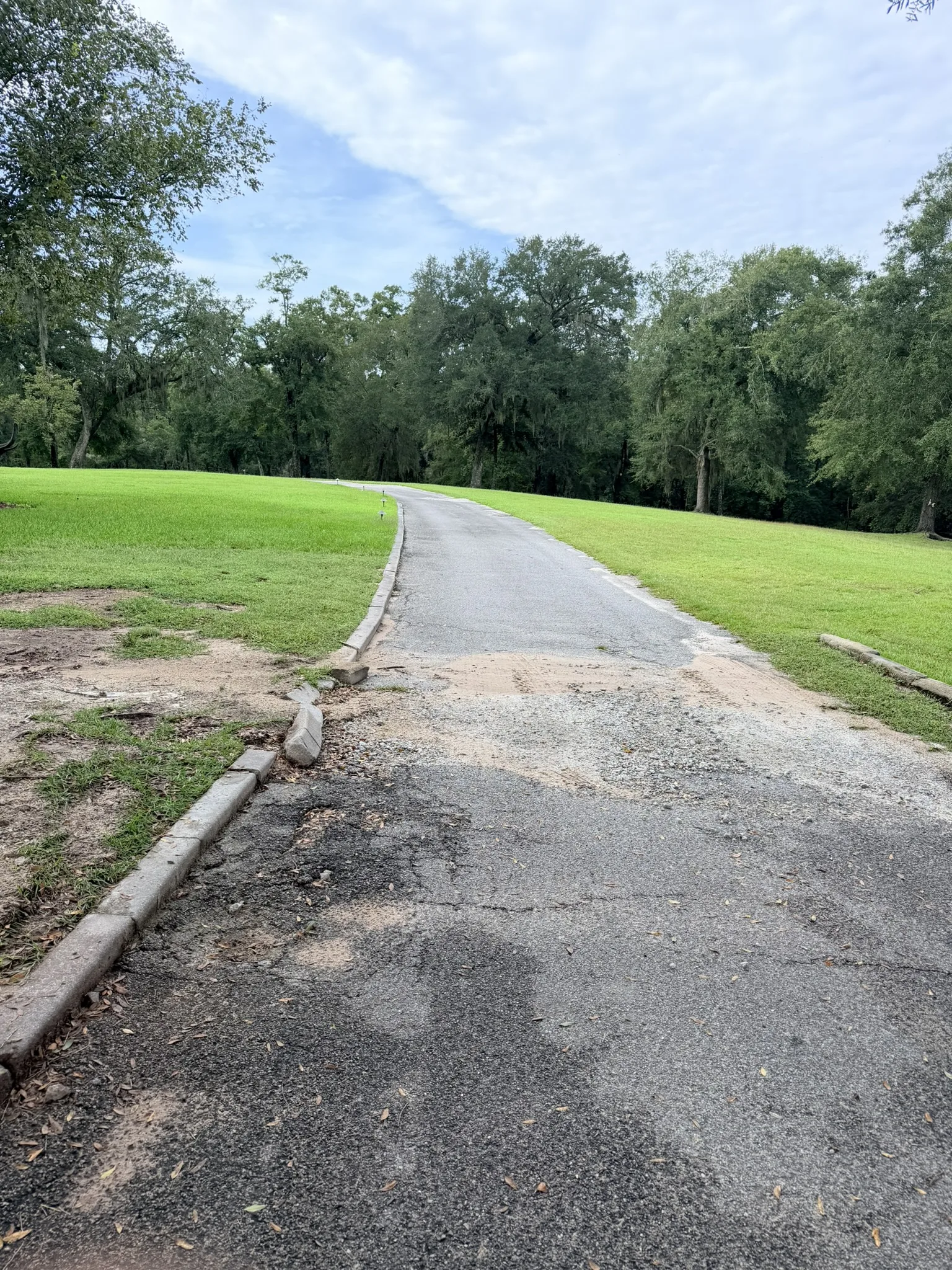 Smith Residence -- Long Driveway Replacement