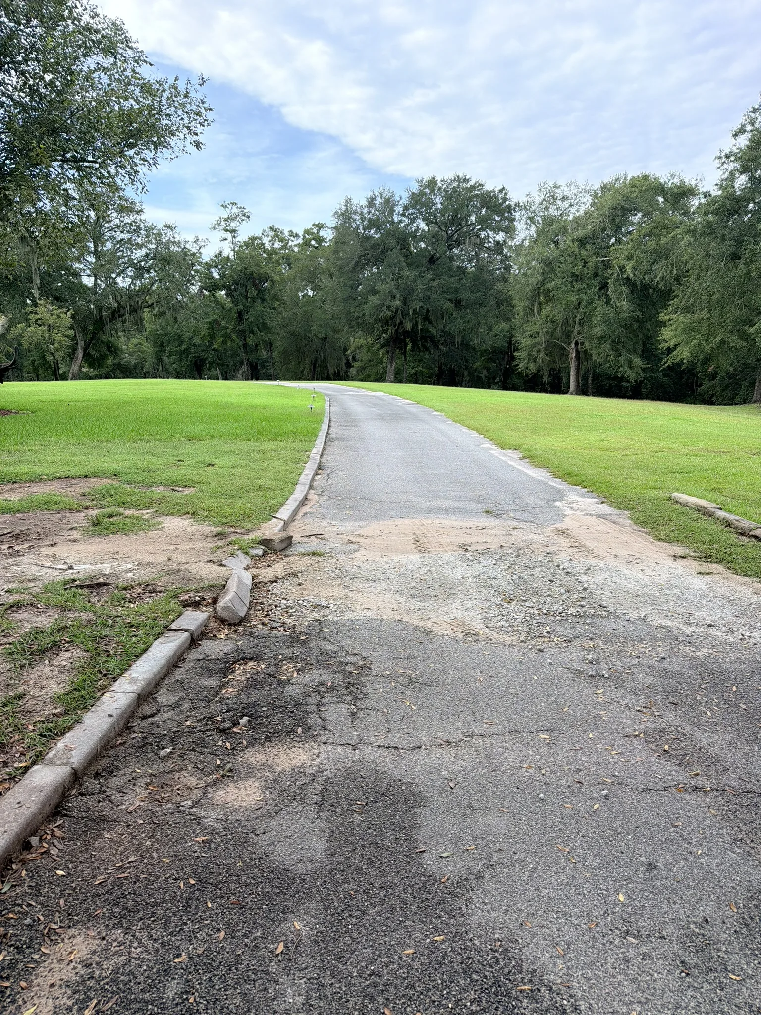Smith Residence -- Long Driveway Replacement photo
