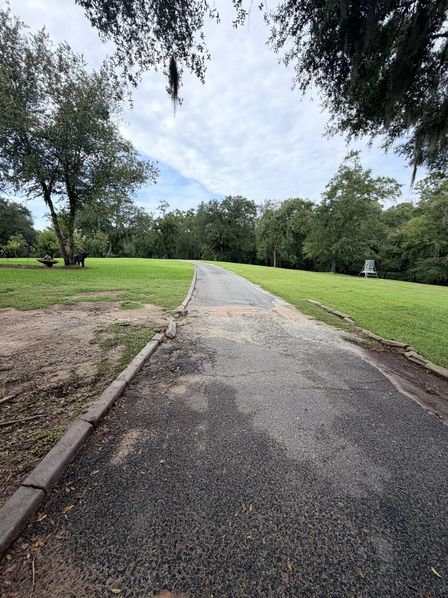 Smith Residence -- Long Driveway Replacement photo