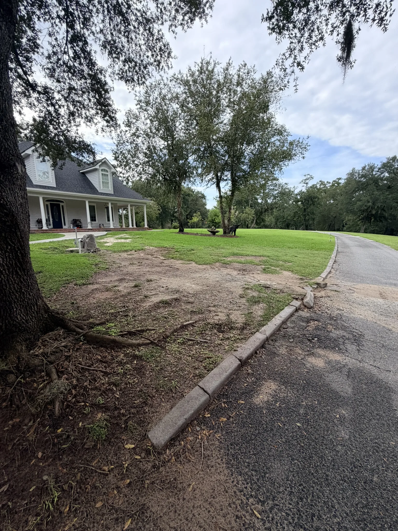 Smith Residence -- Long Driveway Replacement photo