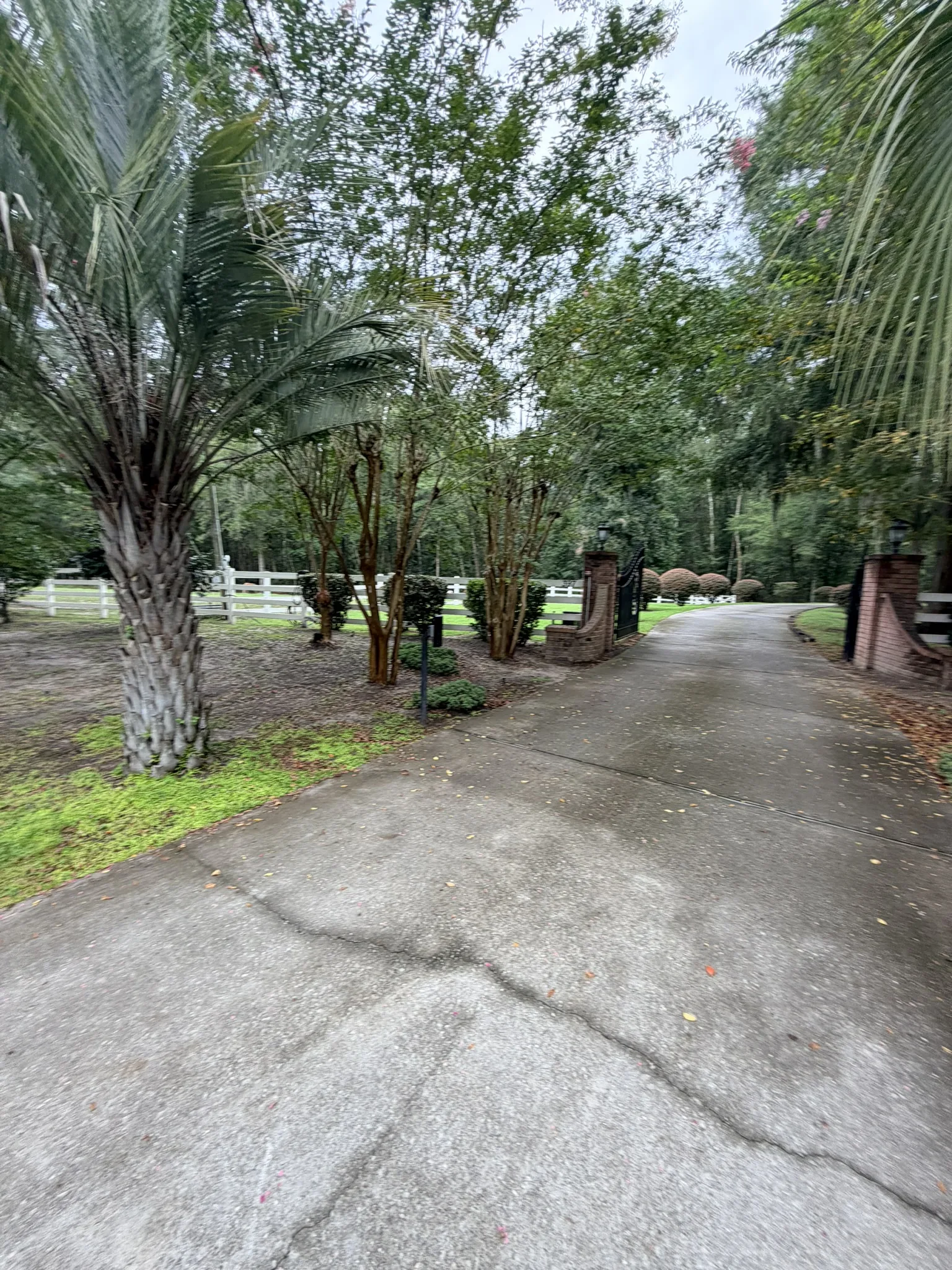 Smith Residence -- Long Driveway Replacement photo