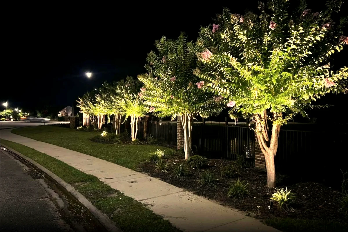 The Night Garden &mdash; professional landscape lighting design