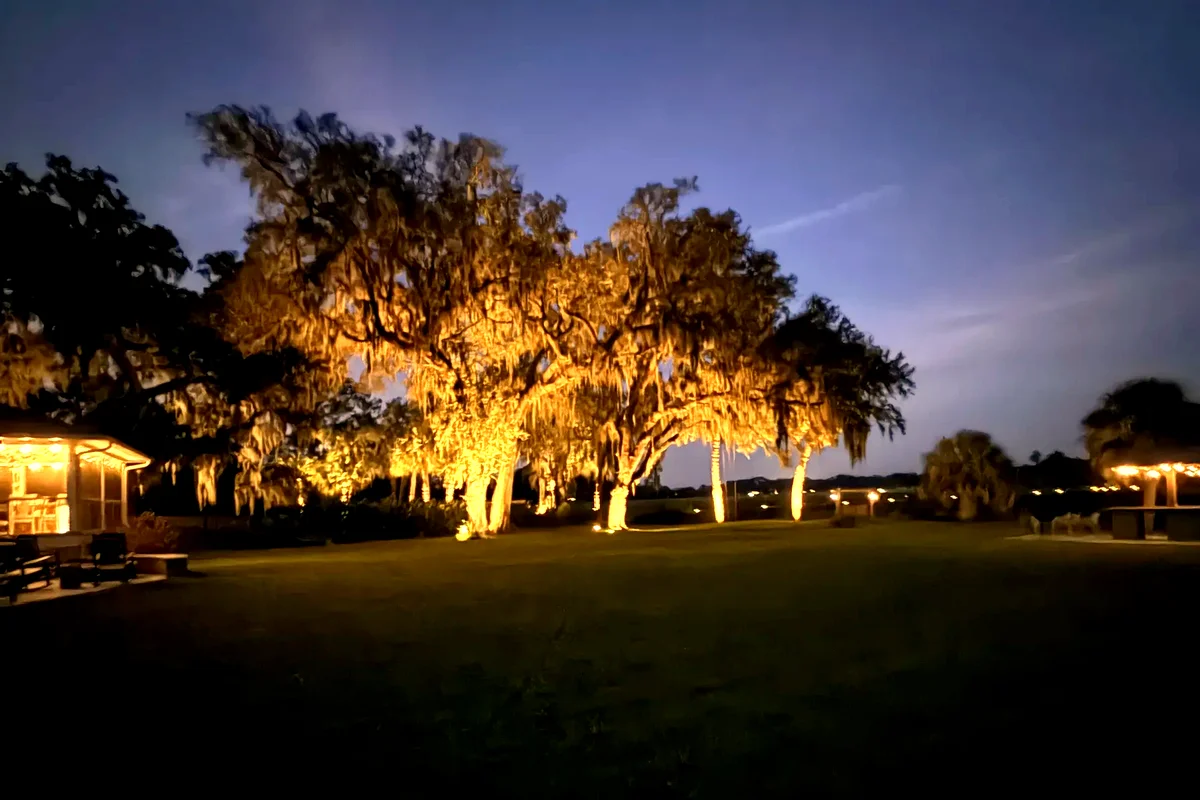 Landscape lighting project