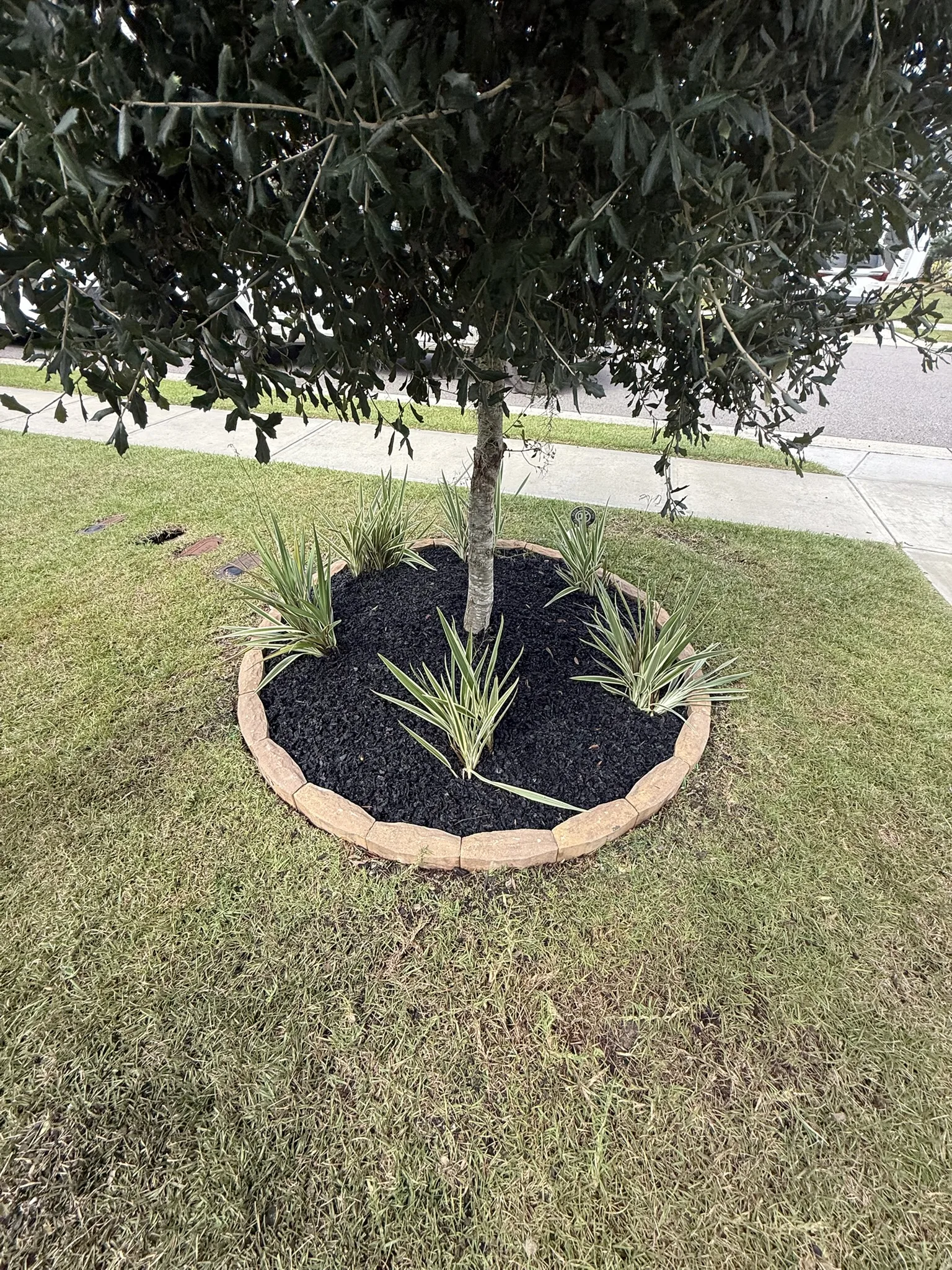 Clark Residence -- Townhome Landscape Beds with Paver Edging photo