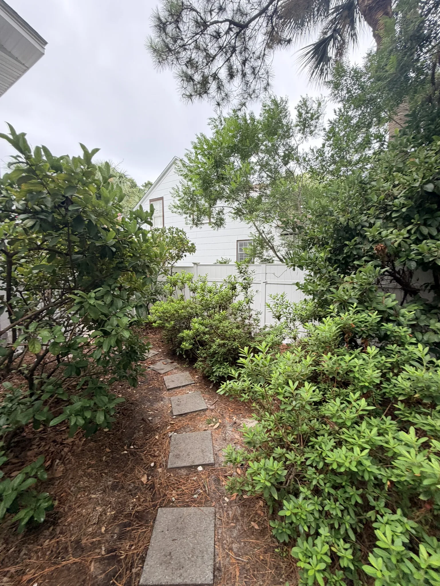 Sellers Residence -- Backyard Deck and Side Path Project photo