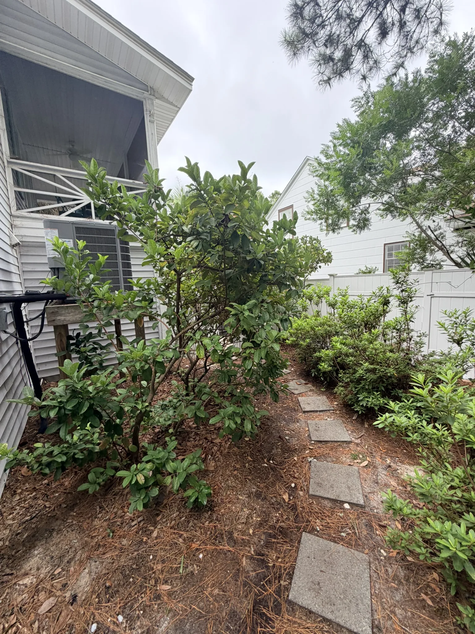 Sellers Residence -- Backyard Deck and Side Path Project photo
