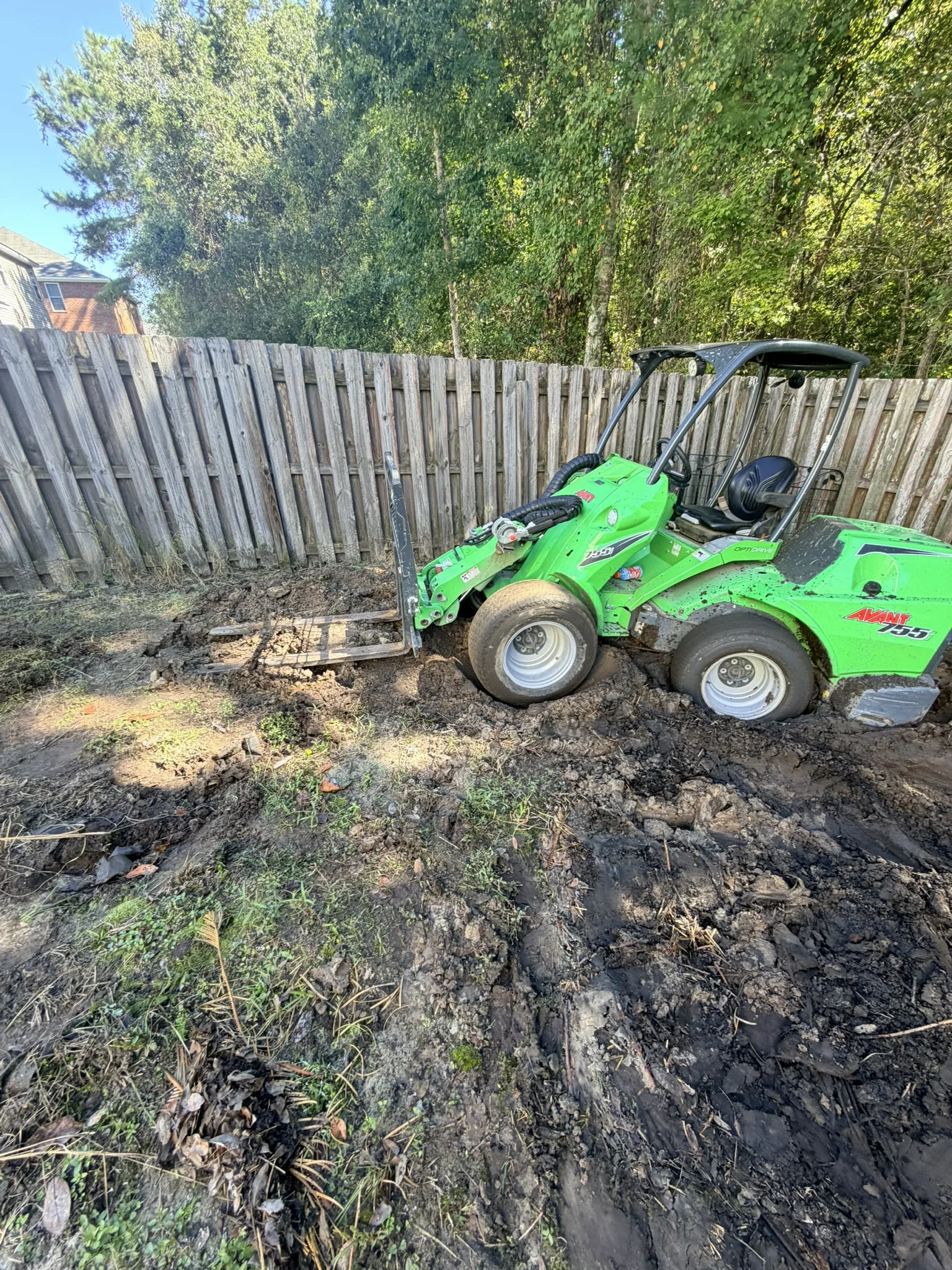 Collins Residence -- Backyard Clearing and Regrading photo