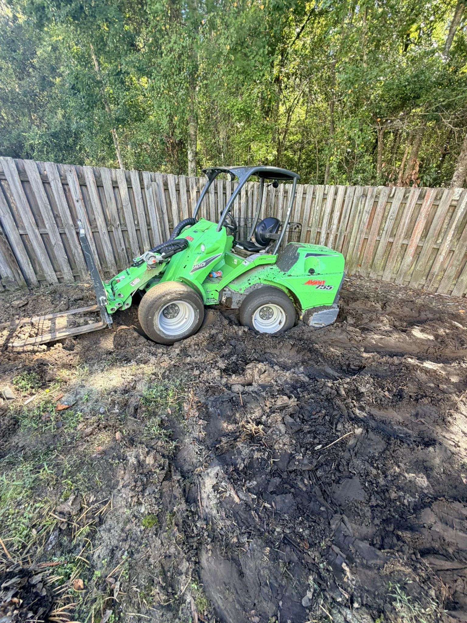 Collins Residence -- Backyard Clearing and Regrading photo