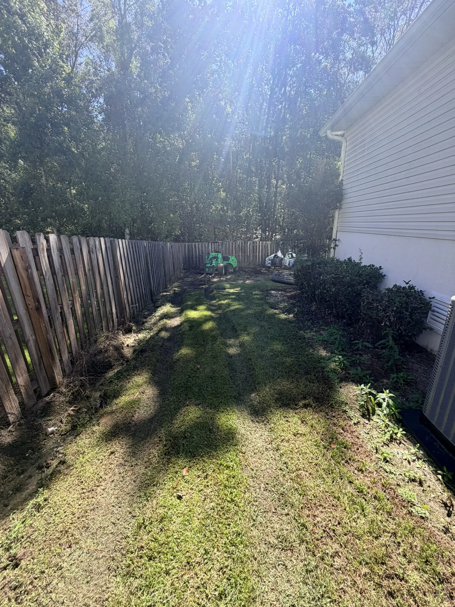 Collins Residence -- Backyard Clearing and Regrading photo