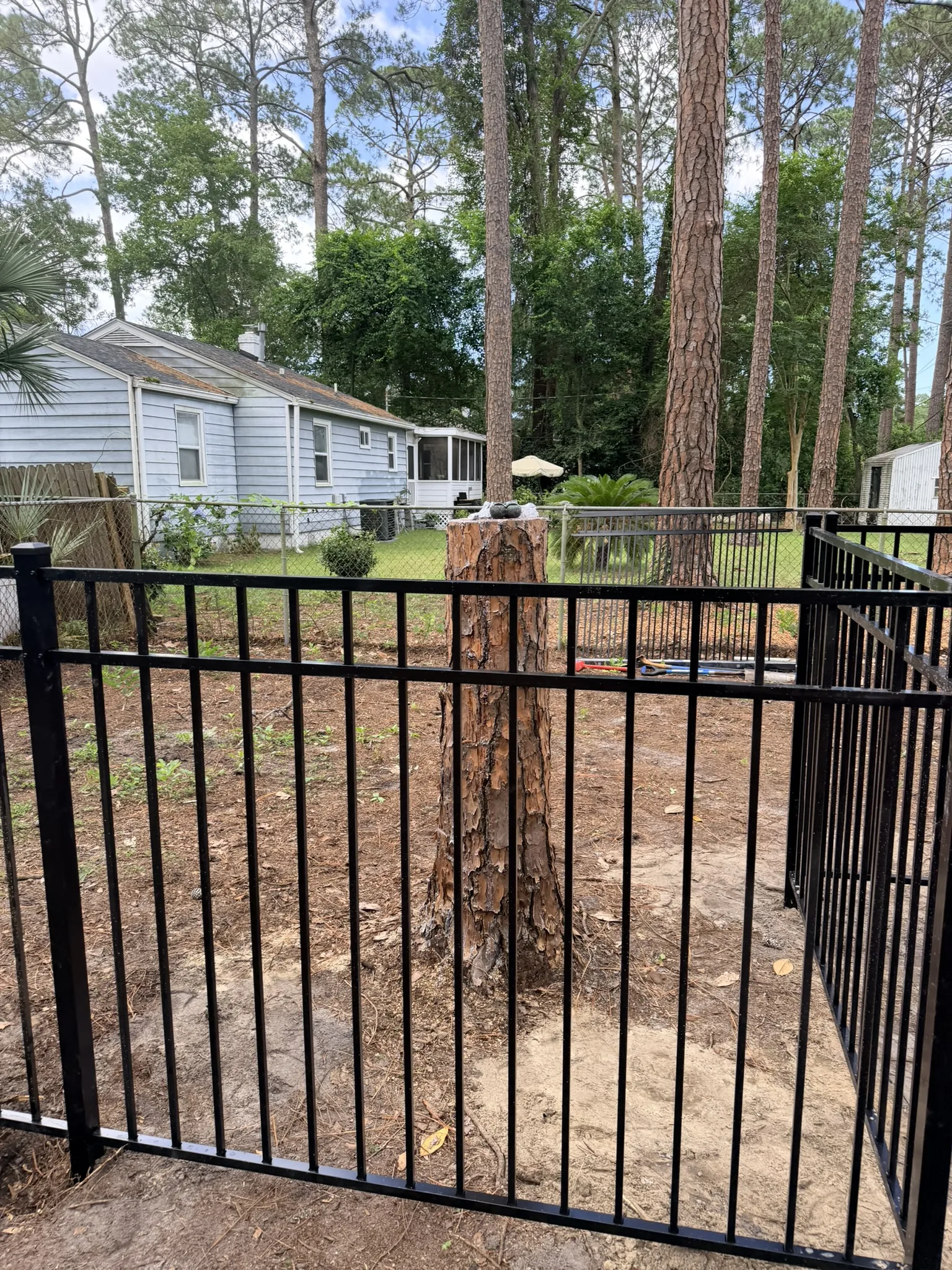 Kameyer Residence -- Backyard Clearing with Aluminum Fence Enclosure photo