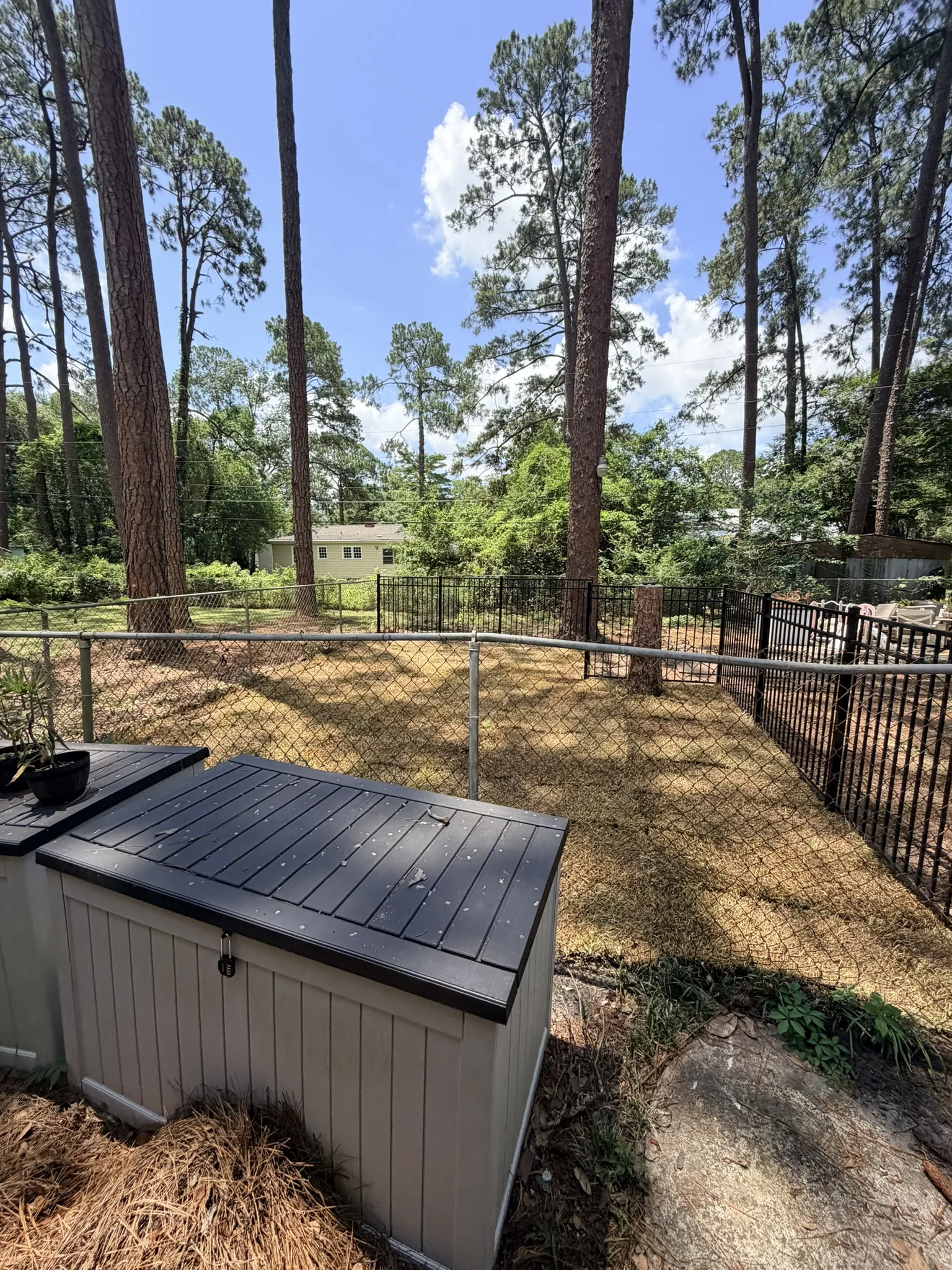 Kameyer Residence -- Backyard Clearing with Aluminum Fence Enclosure photo