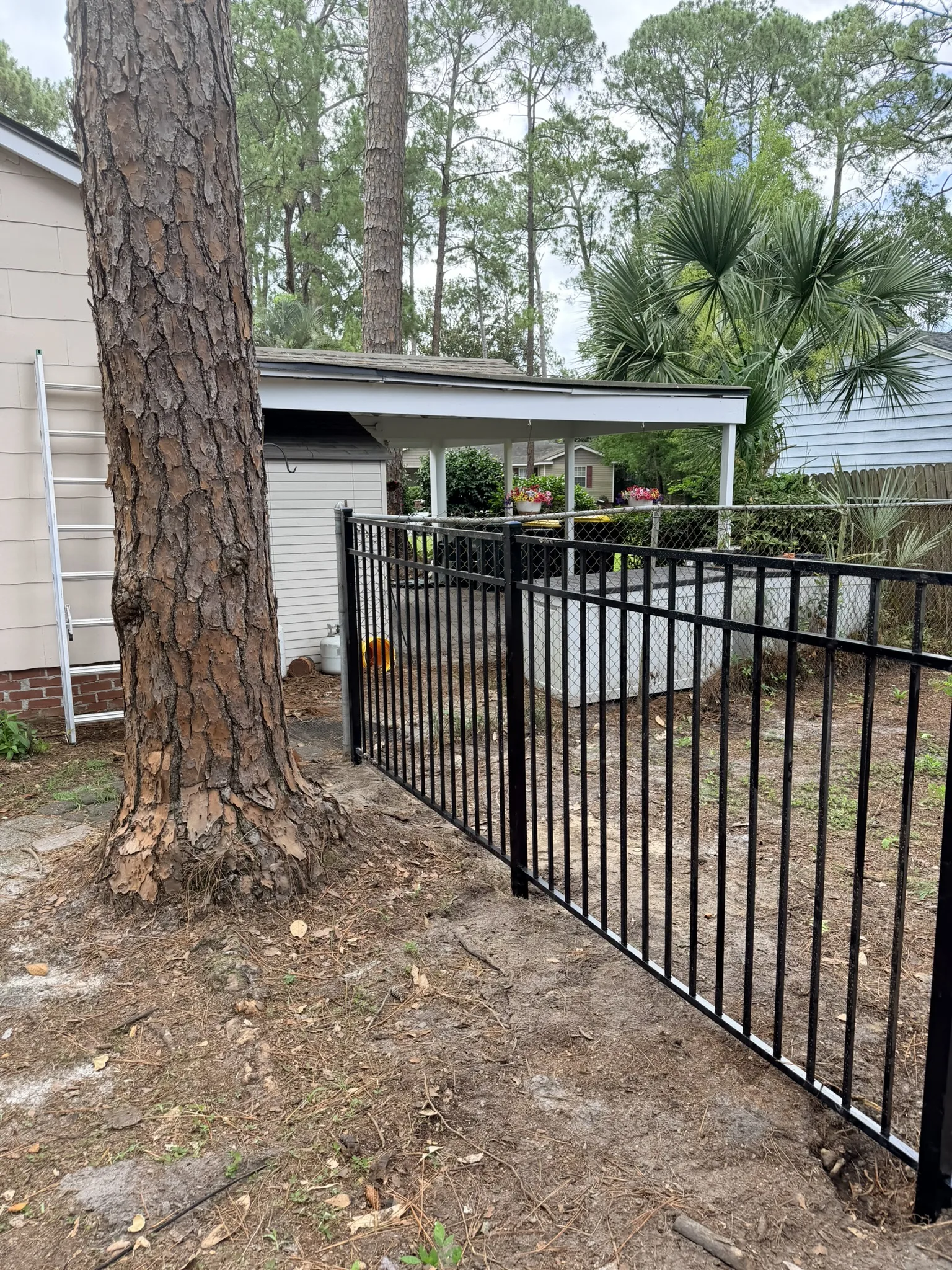 Kameyer Residence -- Backyard Clearing with Aluminum Fence Enclosure photo
