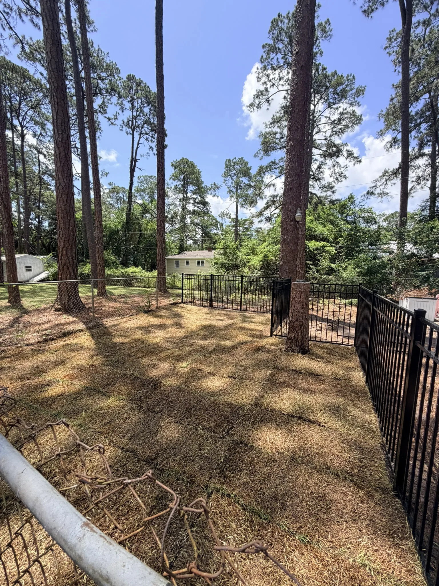 Kameyer Residence -- Backyard Clearing with Aluminum Fence Enclosure photo
