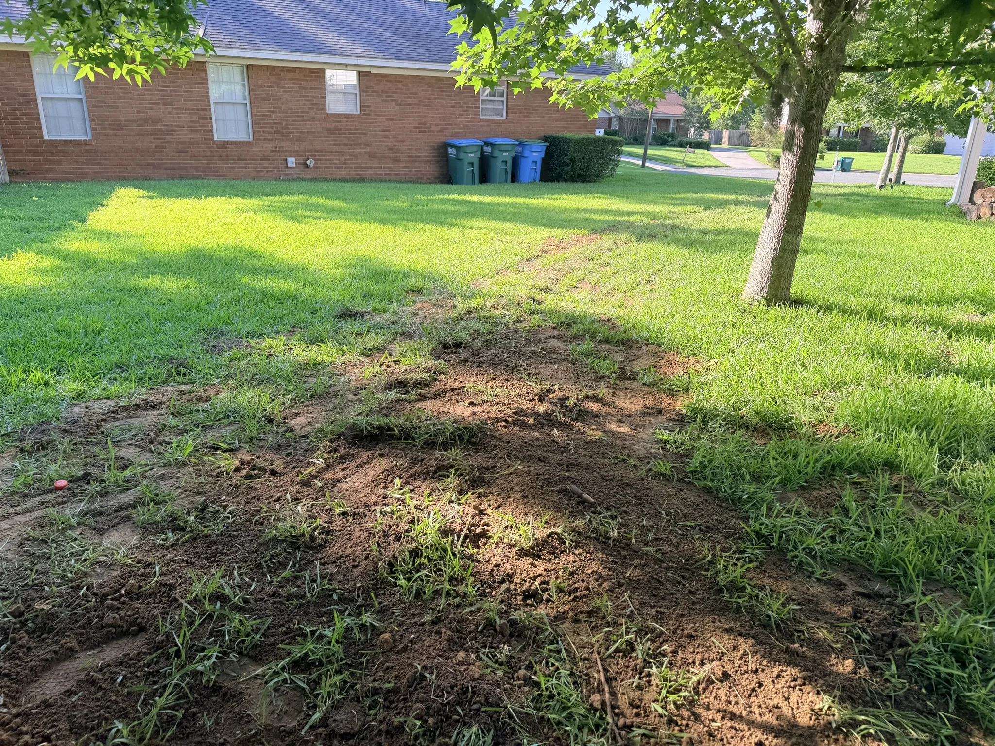 Long Residence -- Backyard Yard Drain Installation photo