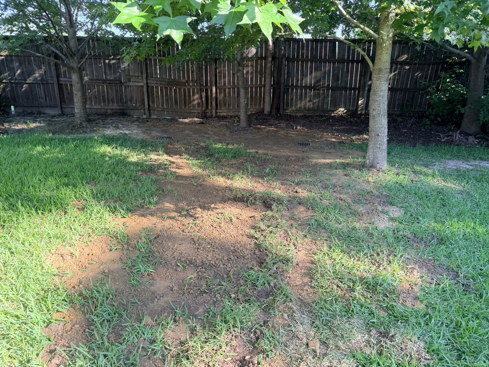 Long Residence -- Backyard Yard Drain Installation photo