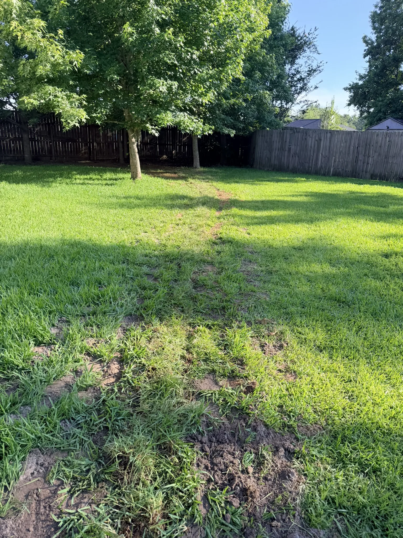 Long Residence -- Backyard Yard Drain Installation photo