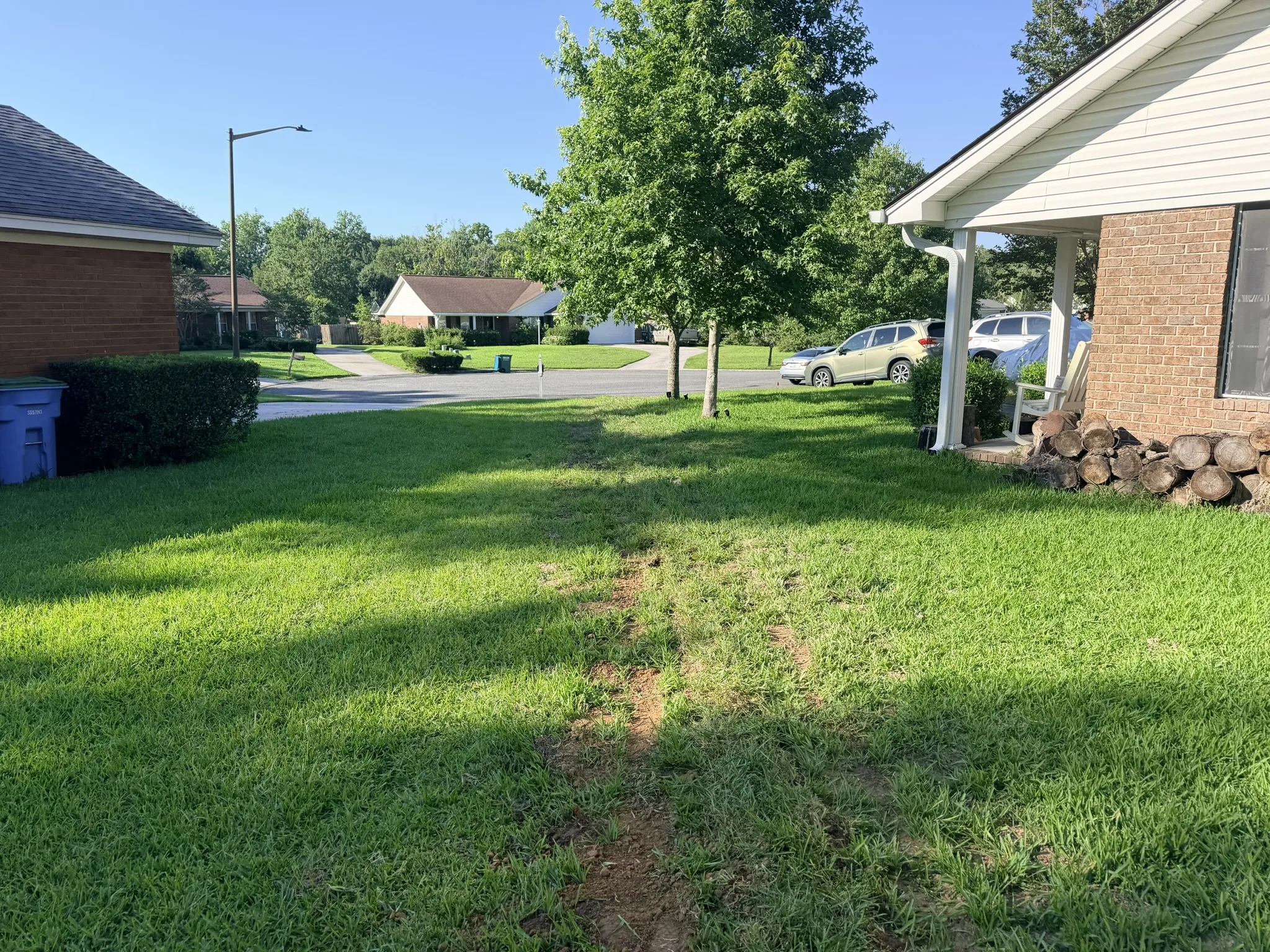 Long Residence -- Backyard Yard Drain Installation photo