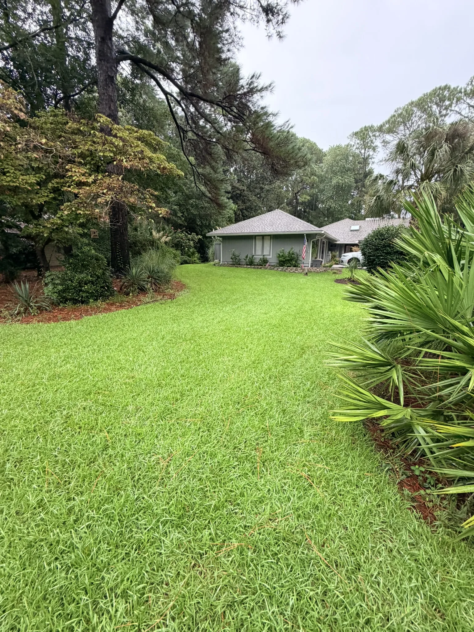 Lukas Residence -- Front Lawn Renovation with New Sod