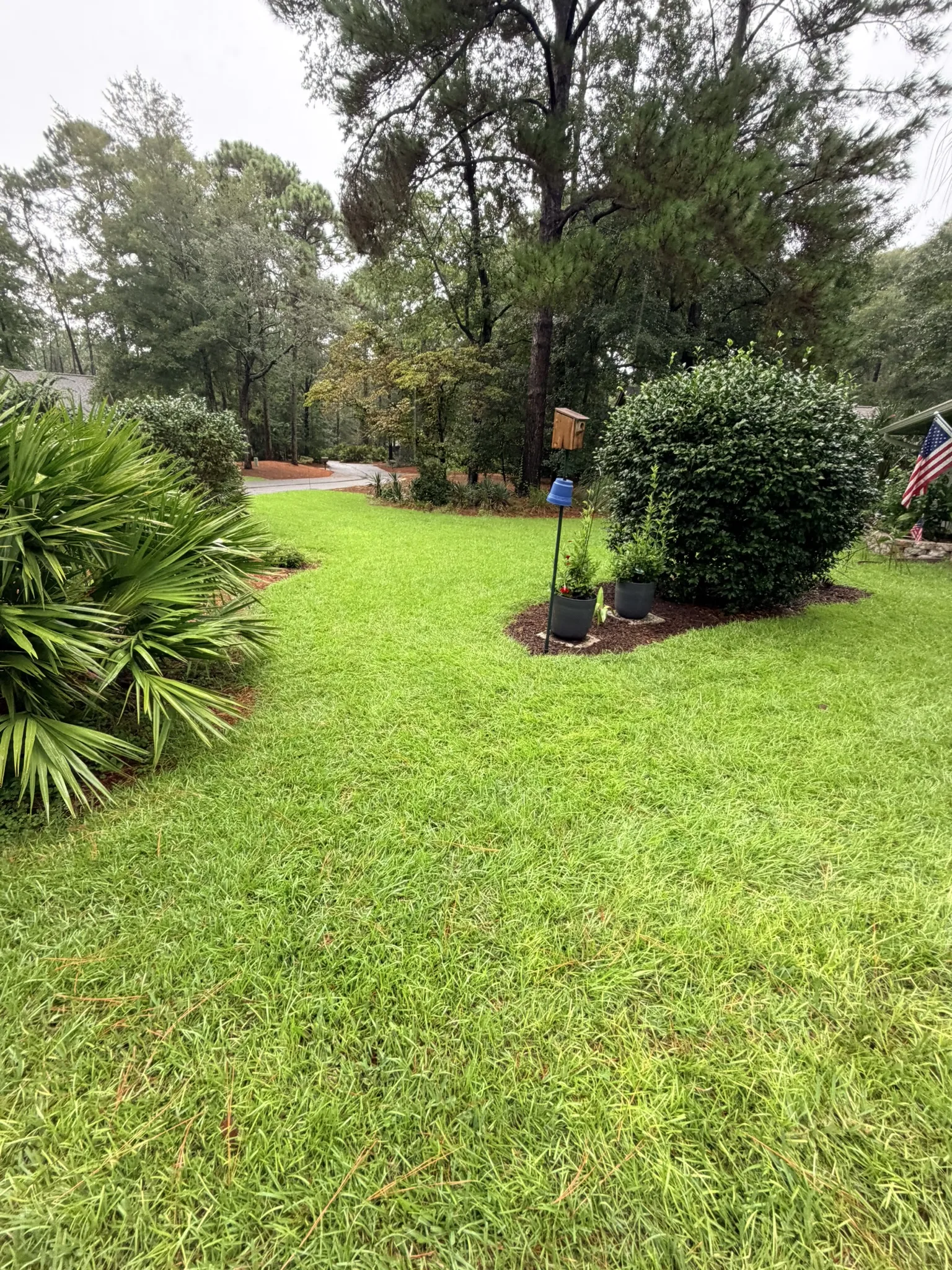 Lukas Residence -- Front Lawn Renovation with New Sod photo