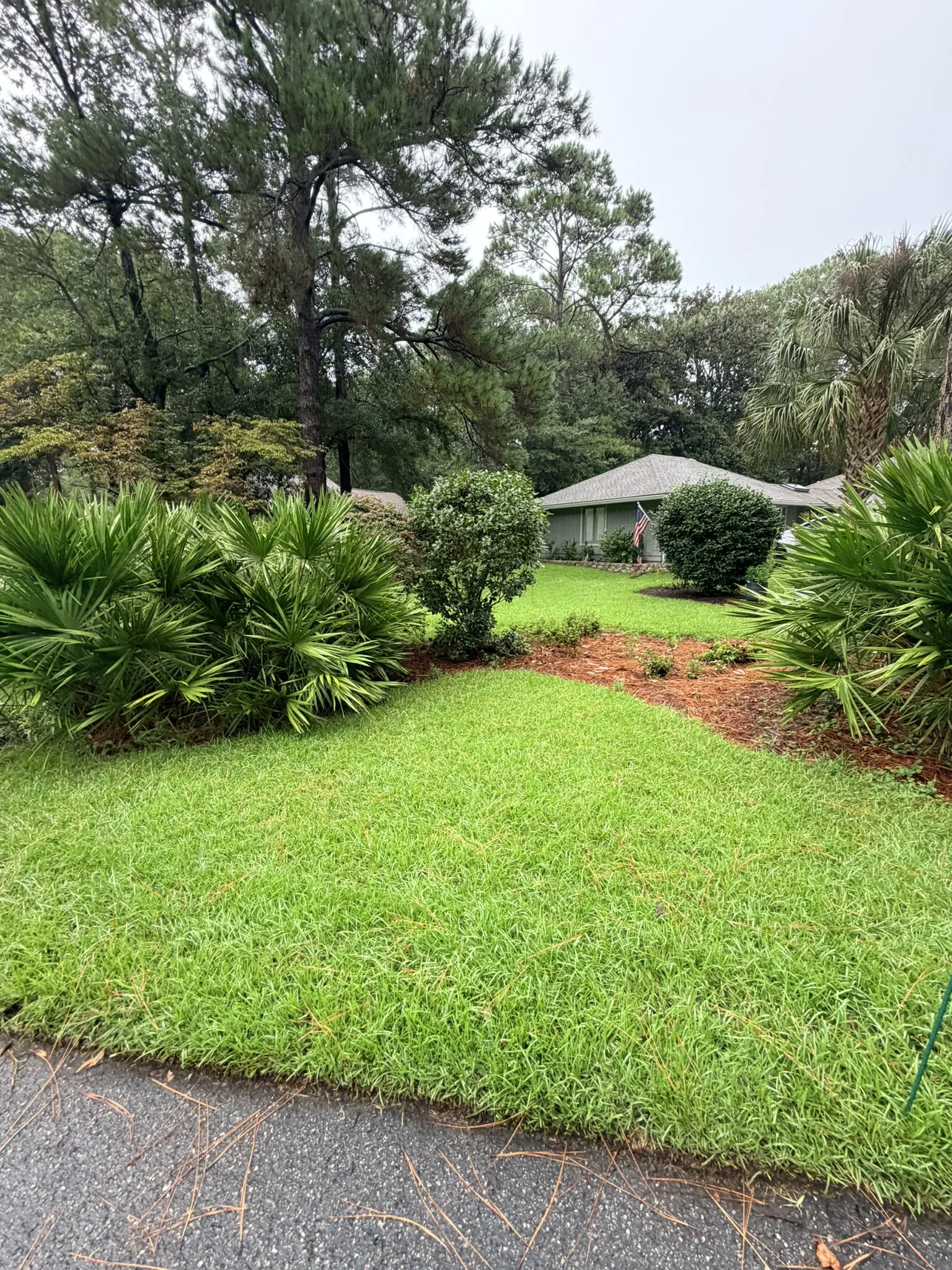 Lukas Residence -- Front Lawn Renovation with New Sod photo