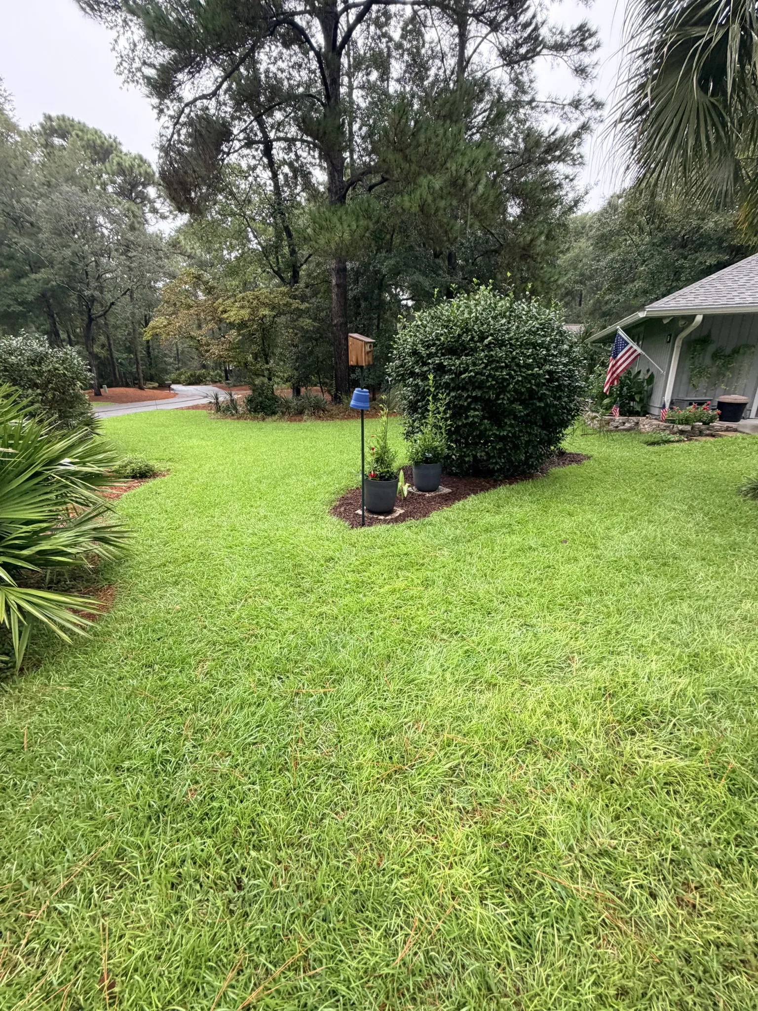 Lukas Residence -- Front Lawn Renovation with New Sod photo