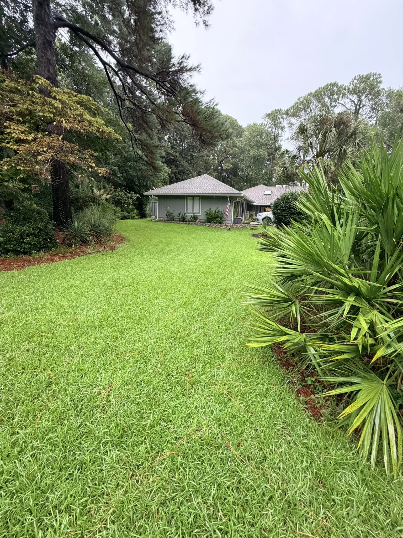 Lukas Residence -- Front Lawn Renovation with New Sod photo