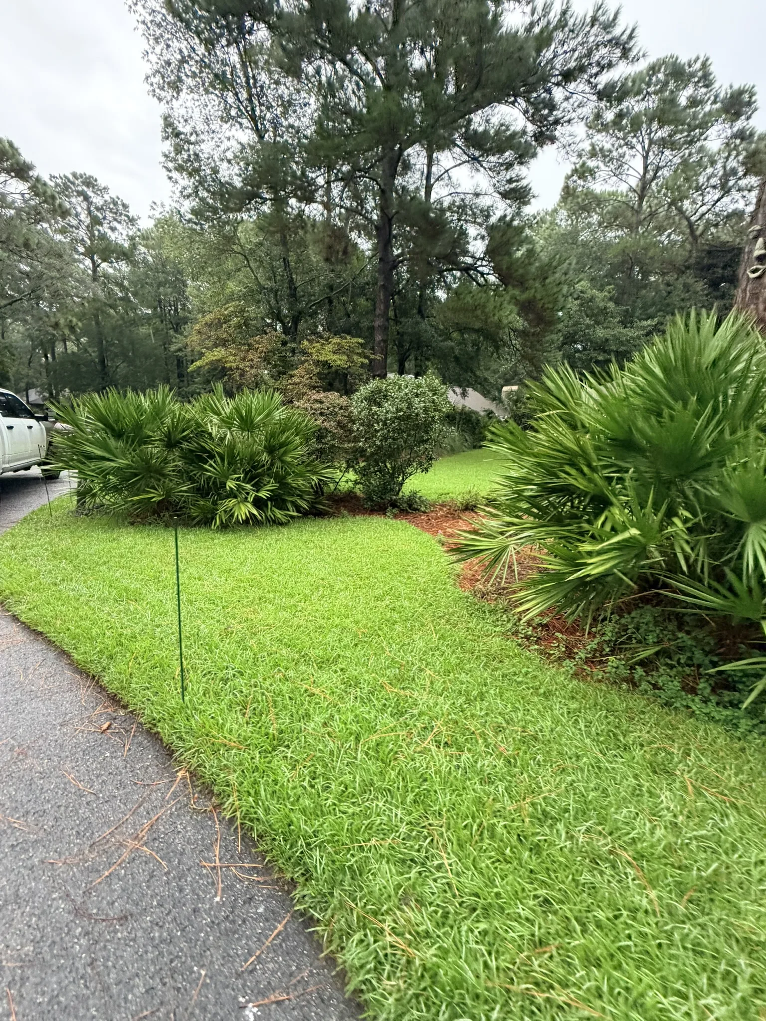 Lukas Residence -- Front Lawn Renovation with New Sod photo