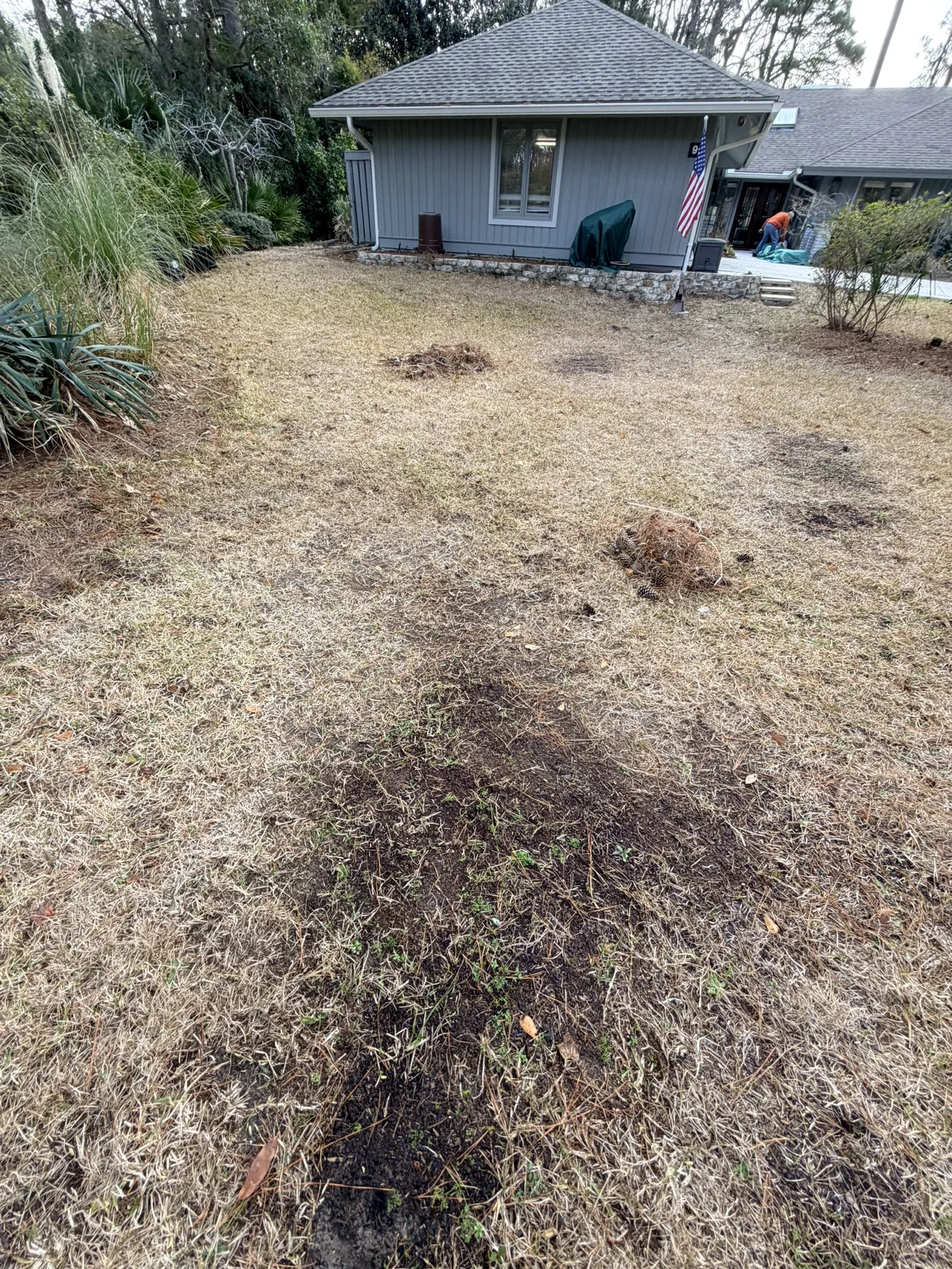 Lukas Residence -- Front Lawn Renovation with New Sod photo