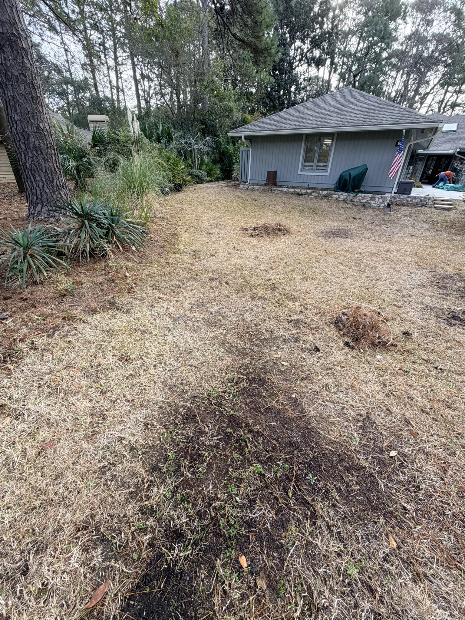 Lukas Residence -- Front Lawn Renovation with New Sod photo