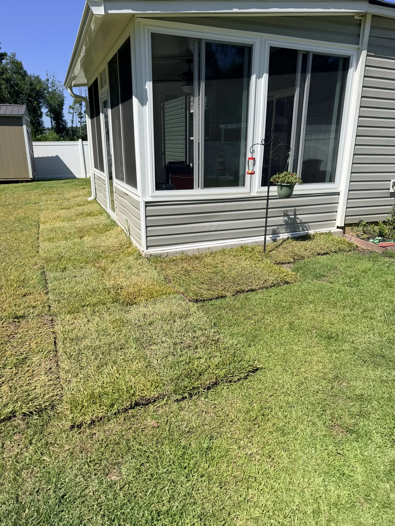 Oconnell Rasing Residence -- Backyard Sod Installation