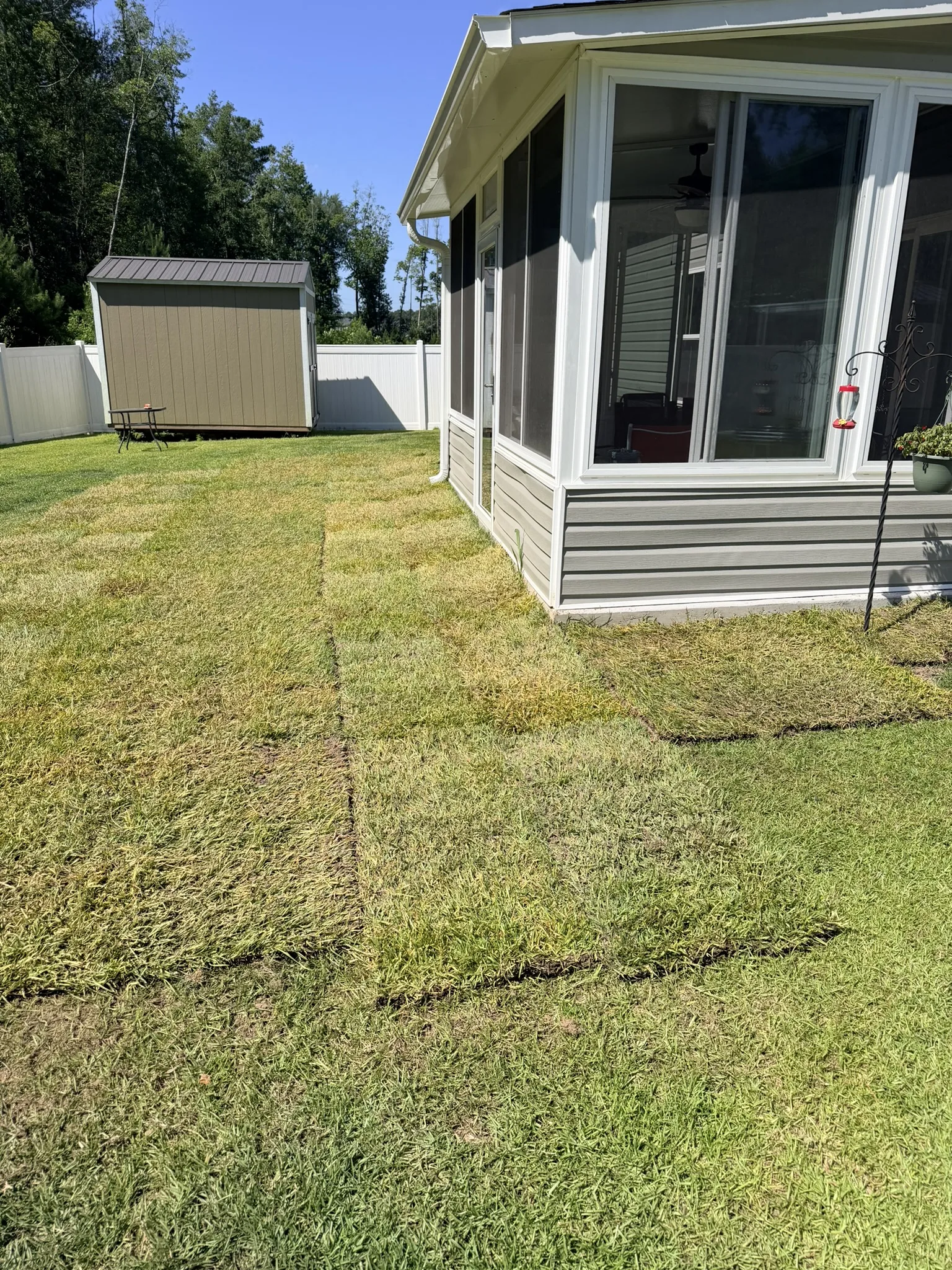 Oconnell Rasing Residence -- Backyard Sod Installation photo