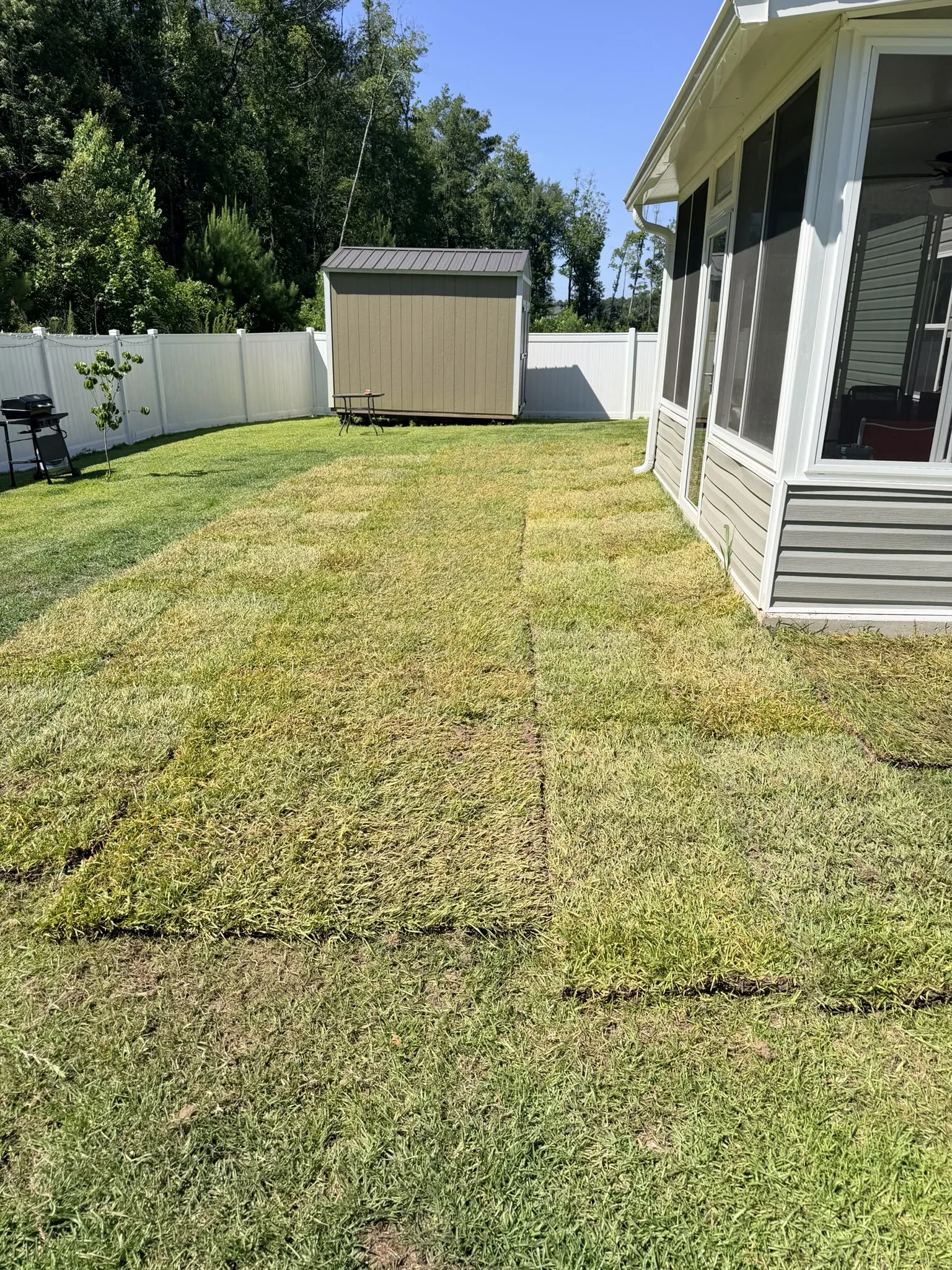 Oconnell Rasing Residence -- Backyard Sod Installation photo