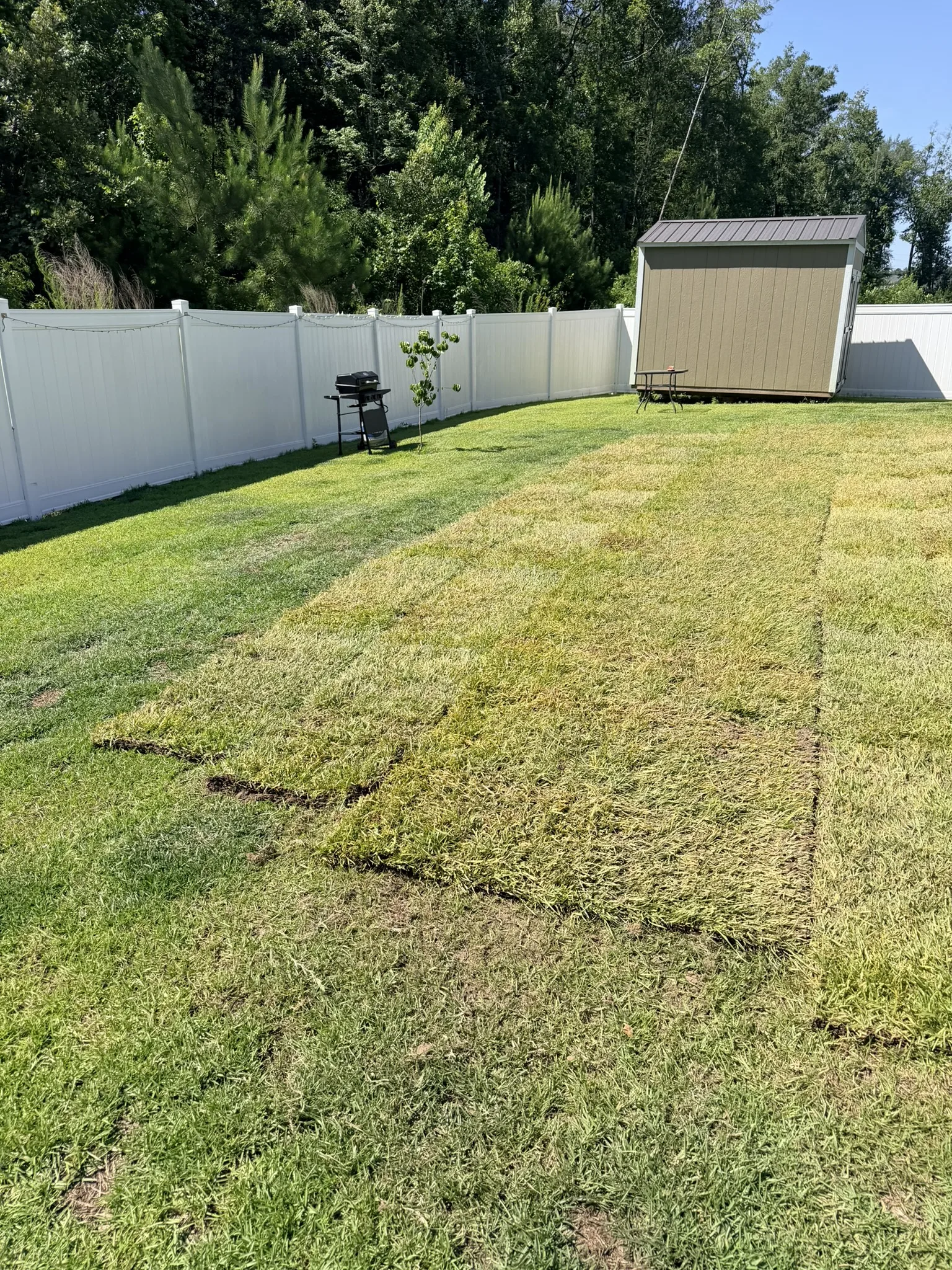 Oconnell Rasing Residence -- Backyard Sod Installation photo
