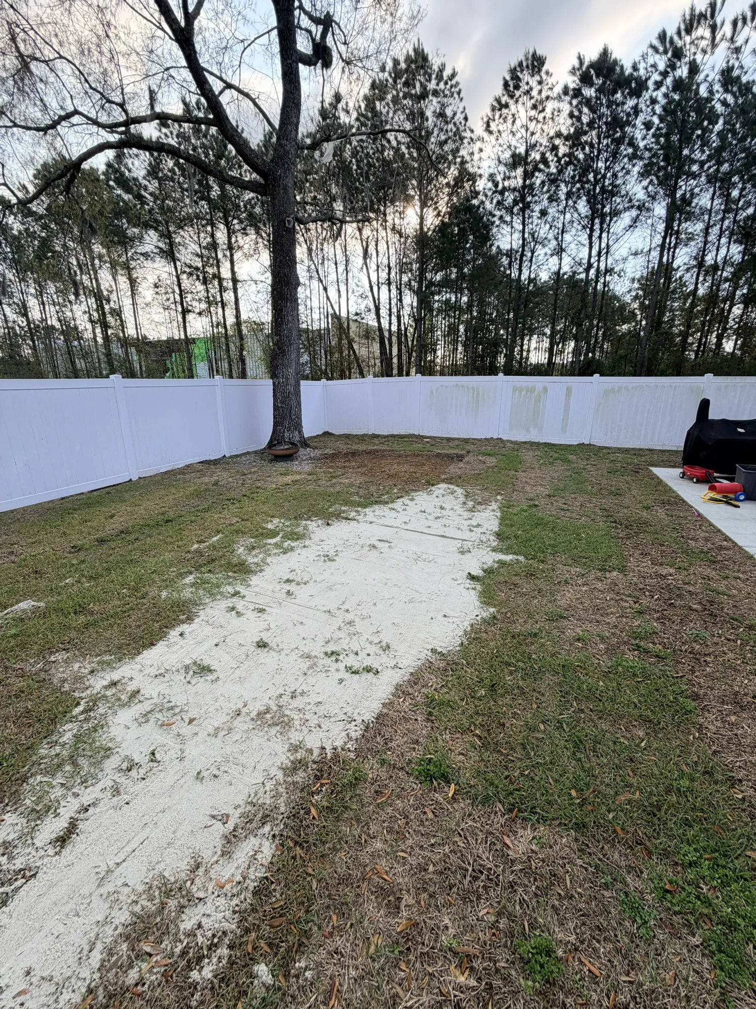 Reyes Residence -- Backyard Drainage Trench and Lawn Restoration photo