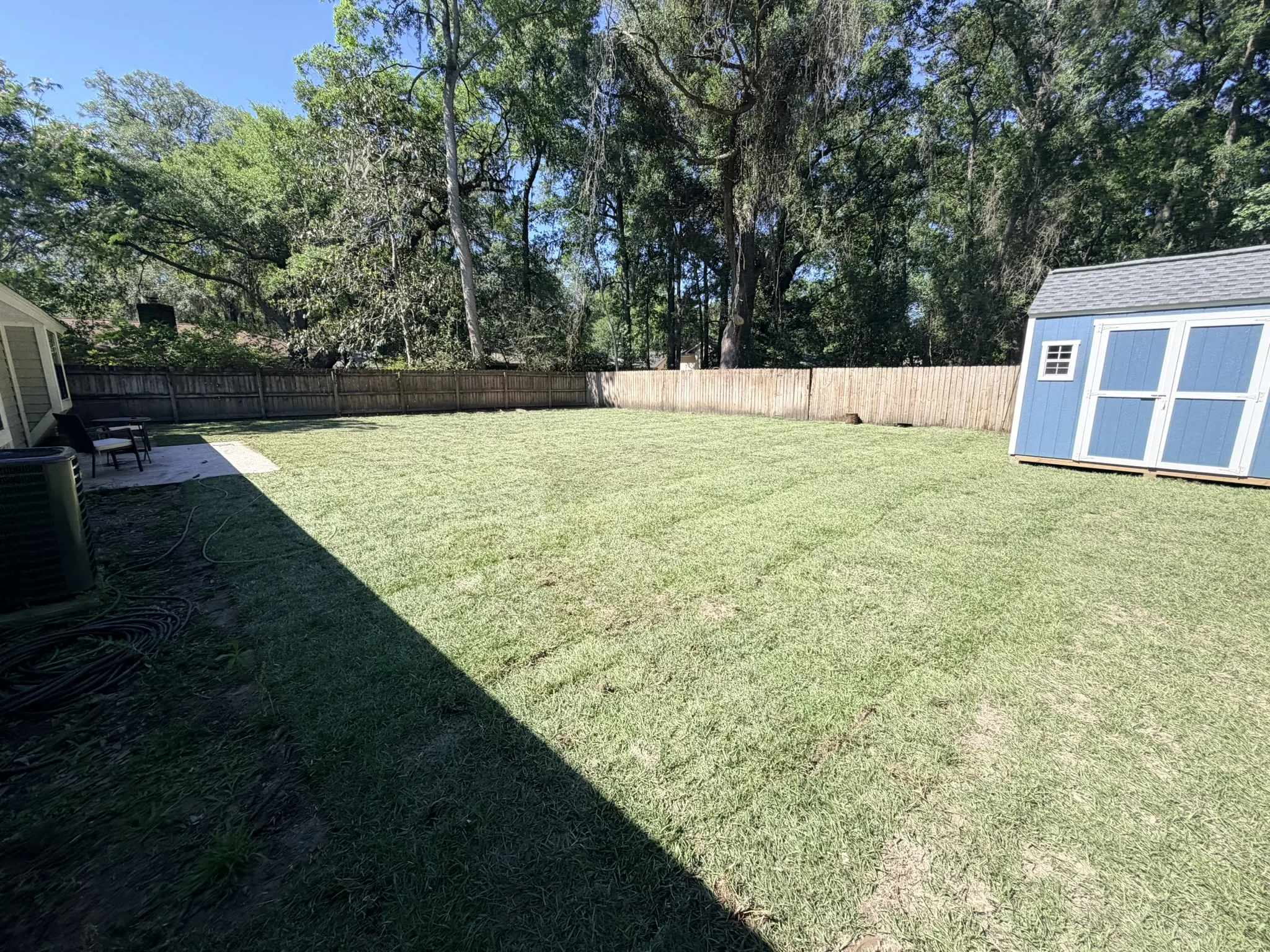 Sullivan Residence -- Backyard Lawn Grading and Turf