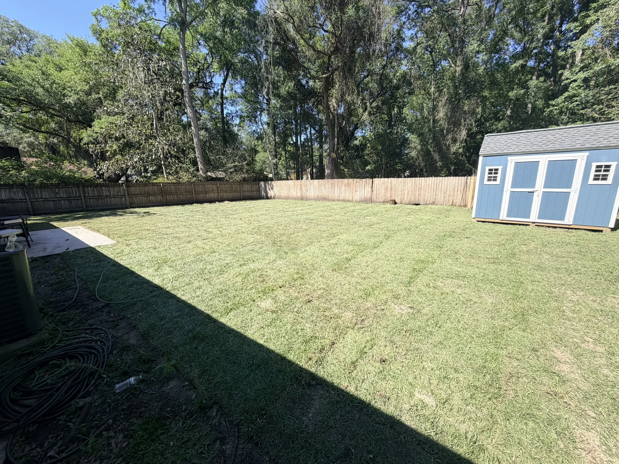Sullivan Residence -- Backyard Lawn Grading and Turf photo