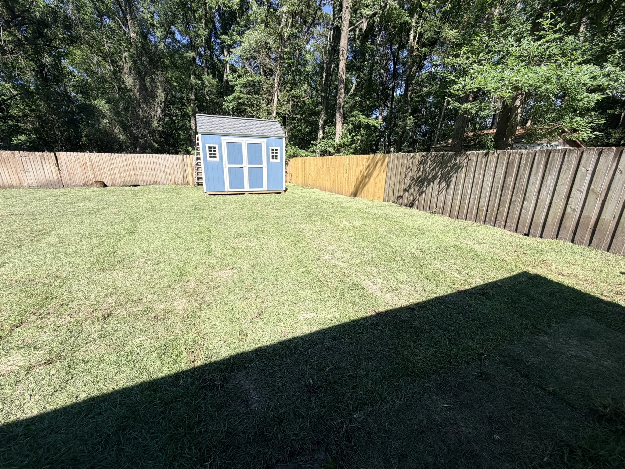 Sullivan Residence -- Backyard Lawn Grading and Turf photo