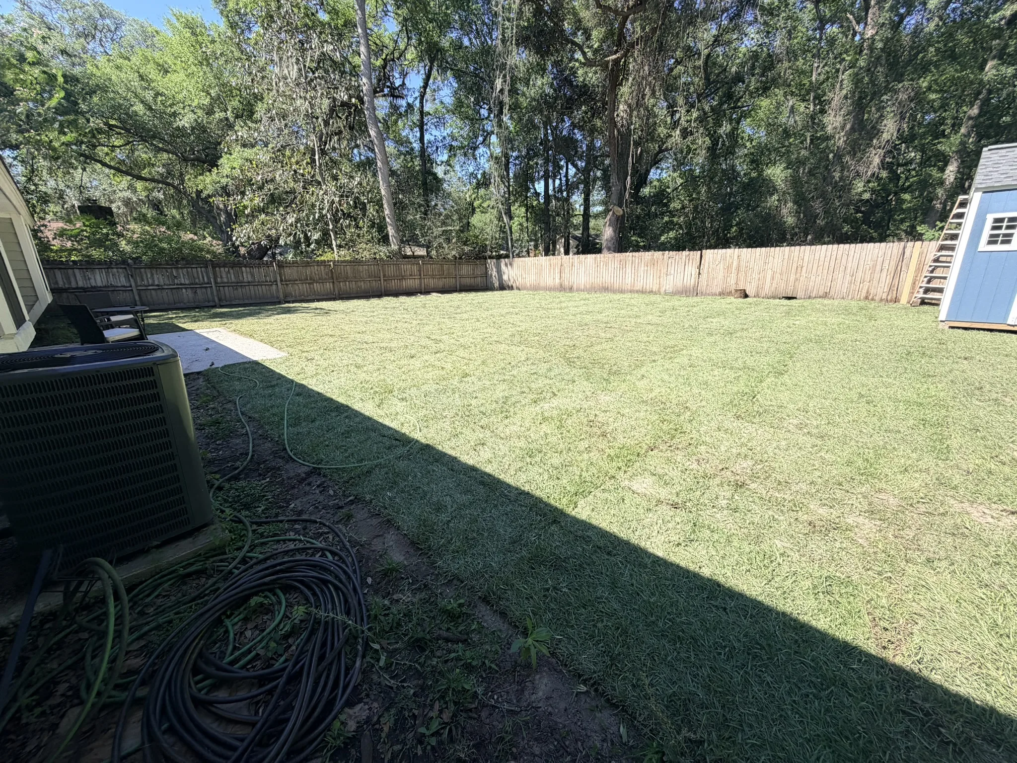 Sullivan Residence -- Backyard Lawn Grading and Turf photo