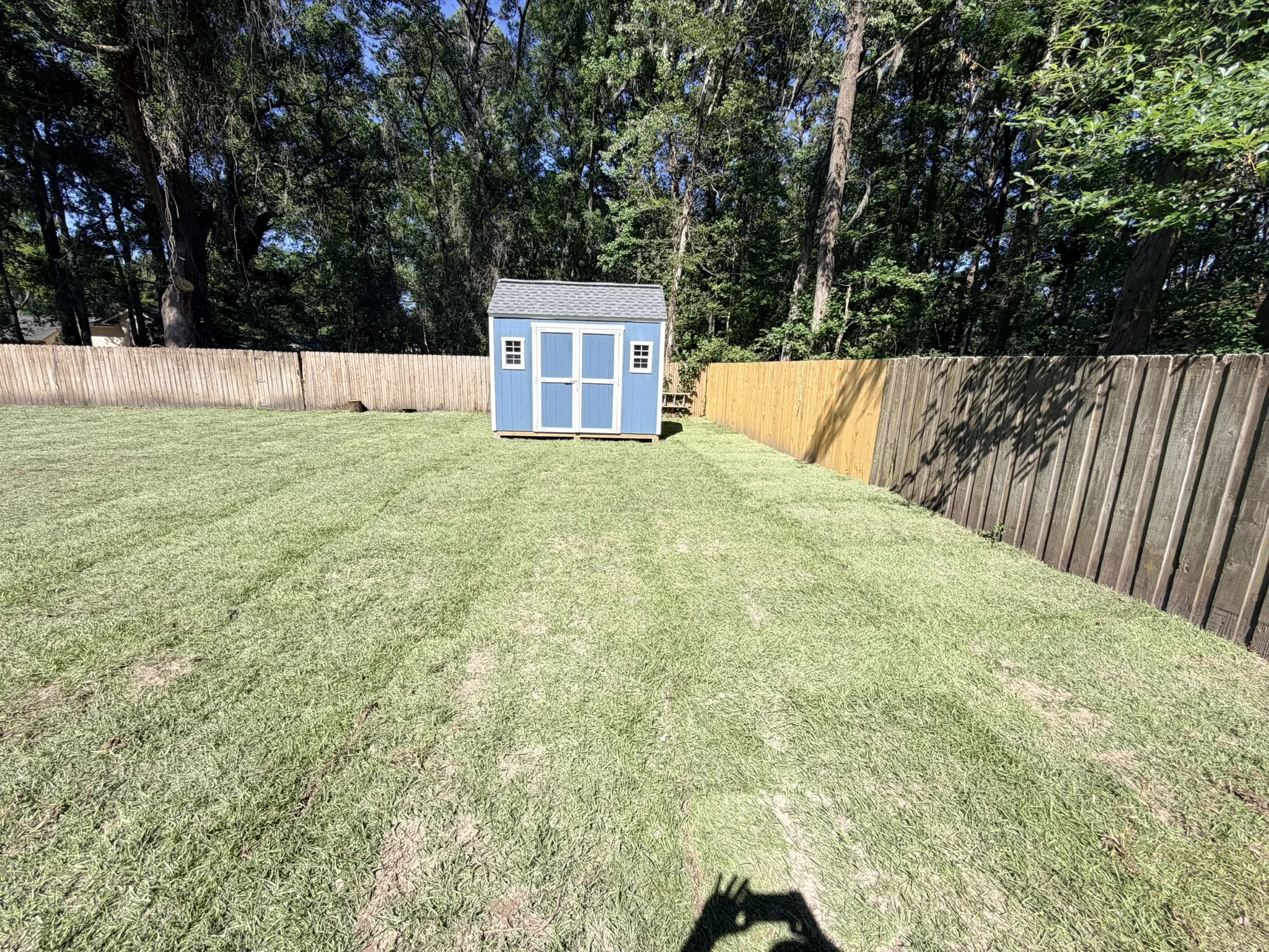 Sullivan Residence -- Backyard Lawn Grading and Turf photo