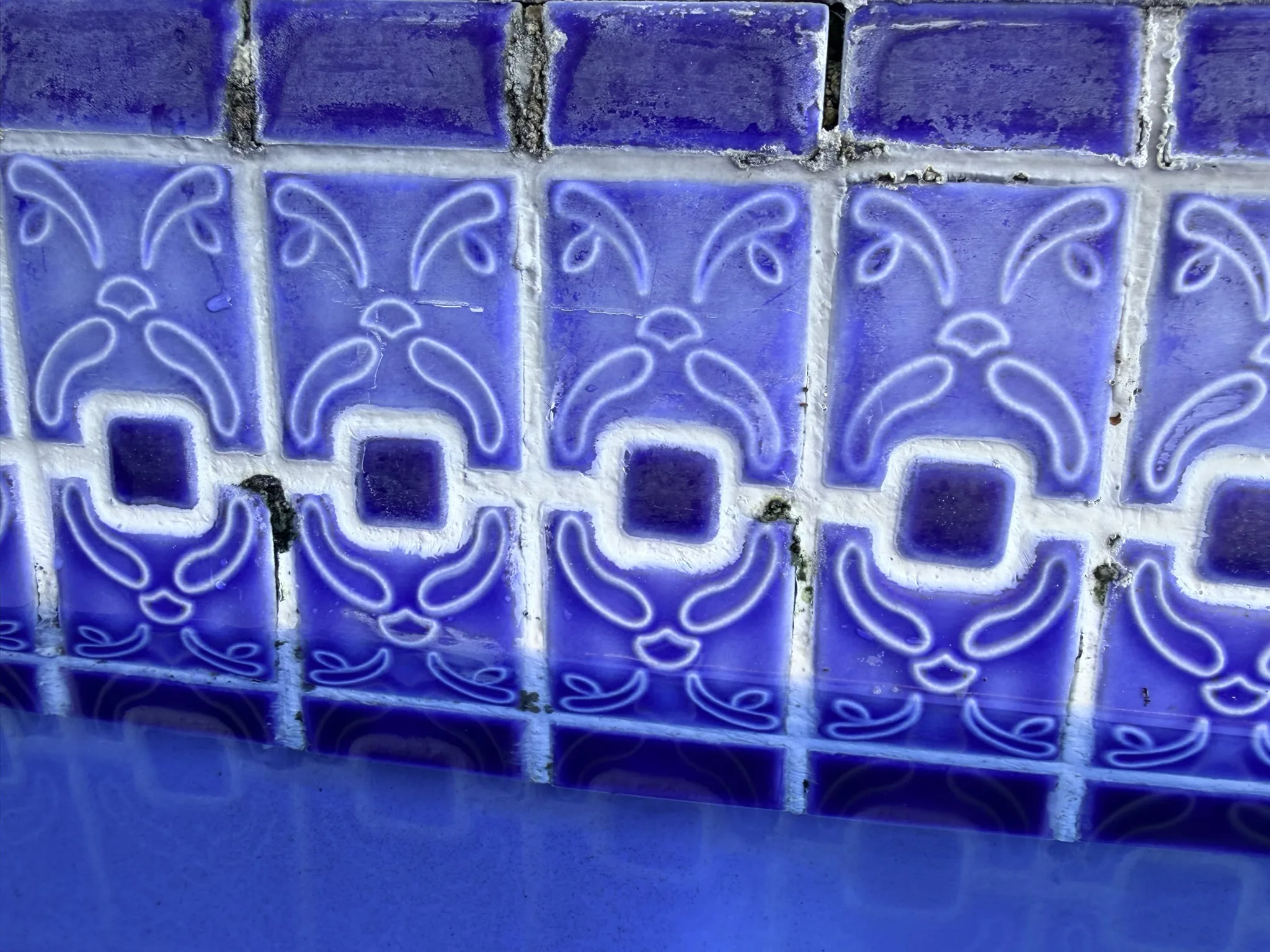Sommers Residence -- Pool Waterline Tile Restoration photo