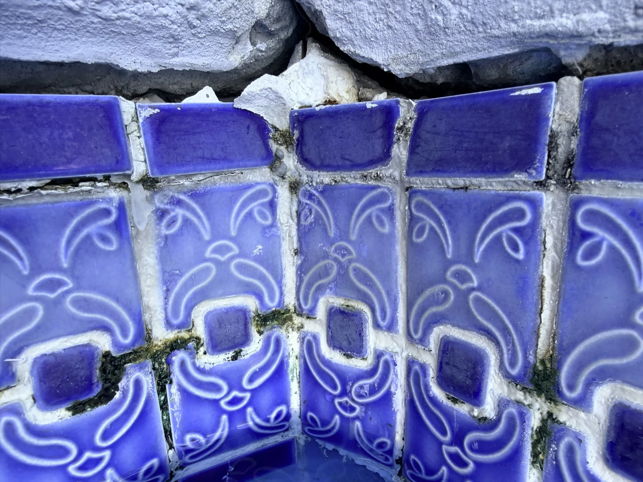 Sommers Residence -- Pool Waterline Tile Restoration photo